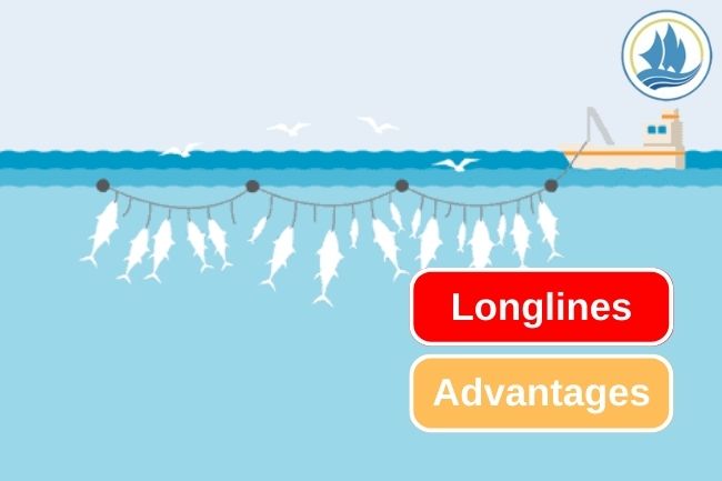 3 Advantages of Using Longlines to Catch Fish